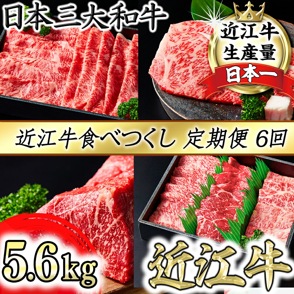 【ふるさと納税】近江牛食べつくし定期便 6回 焼肉 すきしゃぶ ステーキ 近江牛 牛肉 国産 近江フードJAPAN 冷凍 冷蔵 【定期便】