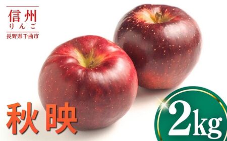 【2026年先行予約】りんご 秋映2kg |りんご 秋映