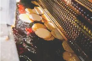 訳あり 三陸 たこせん 大袋 160g 1袋｜ せんべい  たこ 塩竈市 塩釜