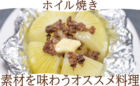 【先行予約】玉ねぎ 10kg L大サイズ 北海道 千歳市産 【假屋フードブリッジ】