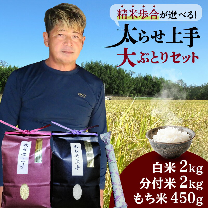 【ふるさと納税】数量限定 【精米歩合が選べる！】大ぶとりセット【太らせ上手（白米＋分付き米＋もち米）】計 4.45kg あいちのかおり ひよくもち 白米 玄米 分付き米 八分付 五分付 三分付 もち米 愛知県産 米 ご飯 安心 安全 コスパ 農作物 送料無料