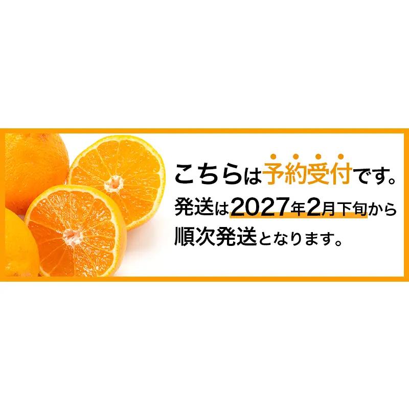 【不知火】 不知火 11～12個 アサヒ農園 【ASHN_002】