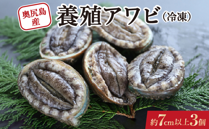 奥尻島産 冷凍 養殖アワビ (3個入り) 1個 約70mm 北海道 奥尻町