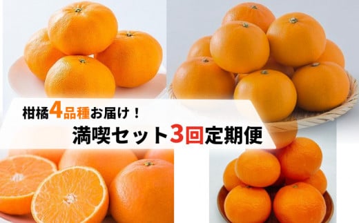柑橘4品種お届け！満喫セット 3回 定期便 （ 紅まどんな / 甘平・伊予柑 / せとか ）｜ 愛媛産 愛媛県産 国産 愛媛みかん 愛媛蜜柑 愛媛ミカン みかん ミカン mikan 蜜柑 柑橘 フルーツ 果物 くだもの お取り寄せ 産地直送 数量限定 人気 おすすめ 愛媛県 松山市 送料無料