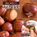 【ふるさと納税】【1.2kg】新栗ビックサイズ!!焼きたて!!天津甘栗　大粒サイズ　期間限定でお届けします。_ 栗 くり 甘栗 天津甘栗 おやつ スイーツ 焼きたて 甘い 菓子 お菓子 マロン 常温 送料無料 人気 おすすめ お取り寄せ 大粒 新栗 限定 【1510514】