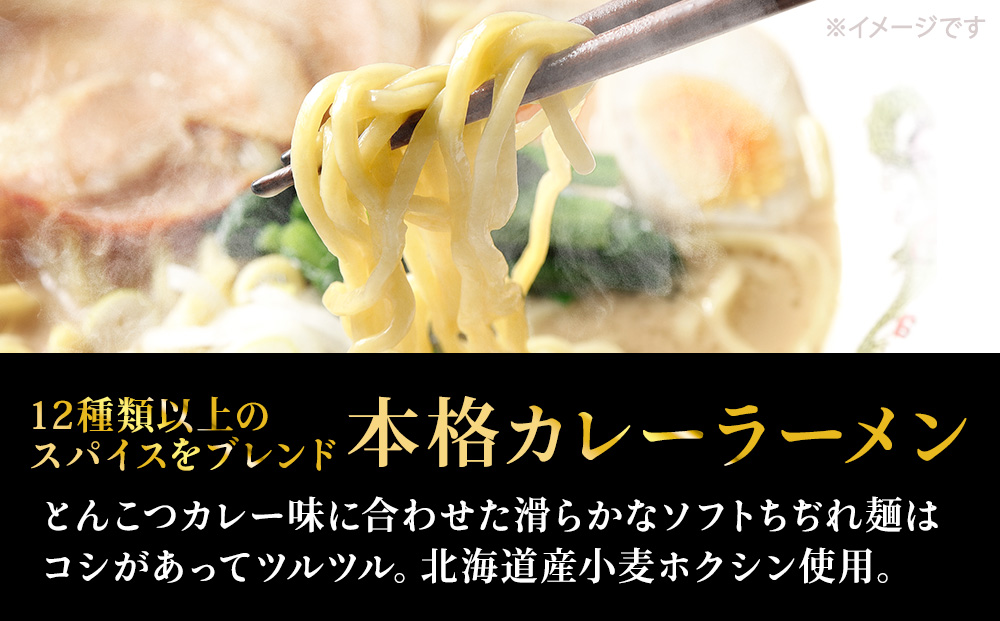 稚内ブランド認定　白いカレーラーメン12食入り