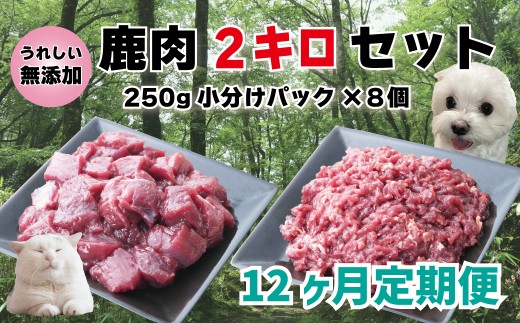 
【12回定期便】 森のジビエ for PET 鹿肉 2kg ペットフード 犬 猫 A-JK-D01A
