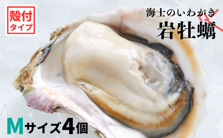 【のし付き 海士のいわがき】殻付き Mサイズ 4個 岩牡蠣 生食可 新鮮クリーミー 冷凍 牡蛎 牡蠣 かき カキ 岩牡蠣 いわがき CAS CAS冷凍 父の日 母の日 バーベキュー ギフト