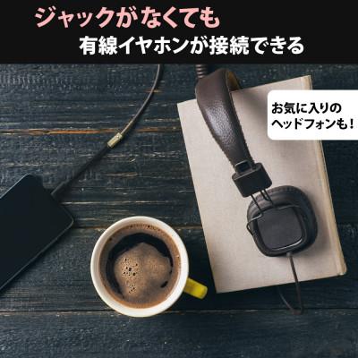 ふるさと納税 海老名市 (オウルテック) デジタル出力対応 USB Type-C Φ 3.5mm オーディオ変換ケーブル |  | 02
