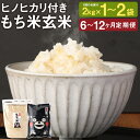 【ふるさと納税】【選べる定期便】もち米玄米 2kg/4kg 6ヶ月定期便/12ヶ月定期便 選べる内容量 白米300g付き お米 もち米 玄米 ヒヨクモチ 九州産 熊本県産 菊池市産 送料無料