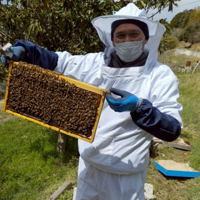 ふるさと納税 岡山市 無添加非加熱の国産天然ハチミツ500g |  | 01