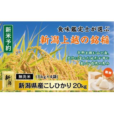 ふるさと納税 上越市 【令和7年産新米先行予約】無洗米　食味鑑定士厳選　新潟県上越市産こしひかり　5kg×4袋