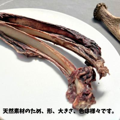 ふるさと納税 南アルプス市 南アルプスの天然鹿肋ジャーキーセット ワンちゃんの贅沢おやつ【肋(大)50g×2袋セット】 |  | 01