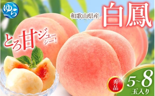 白鳳 桃 5～8玉入り 秀品 【2026年6月下旬以降発送】桃 モモ フルーツ 果物 くだもの 人気 産地直送 厳選 甘い 予約 もも フルーツ王国【mtgn053B】