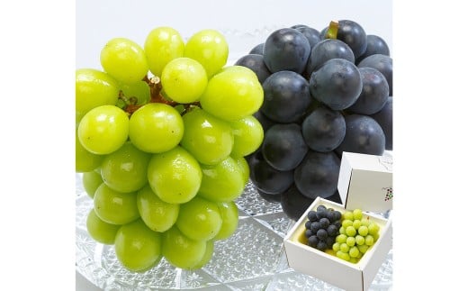岡山県産 ぶどう詰合 ／ ニューピオーネ 1房 ・ シャインマスカット 晴王 1房 （各480g以上） 化粧箱入り 【2026年8月下旬-10月上旬迄発送予定】 ／ 葡萄 ぶどう マスカット 果物 果