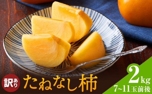 たねなし柿 訳あり 2kg 株式会社農業福祉研究機構《9月上旬-11月上旬頃出荷》和歌山県 紀の川市 送料無料 フルーツ 果物 柿 たねなし かき 旬 旬のフルーツ お取り寄せフルーツ ご家庭用