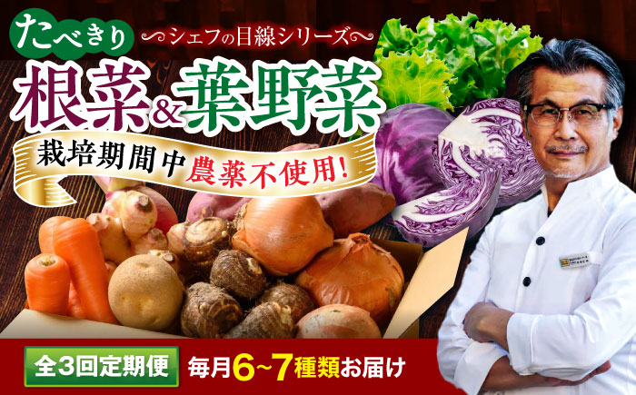 【全3回定期便】 【シェフの目線】　根菜×葉野菜 6から7種　単身・二人暮らし用セット　愛媛県大洲市/有限会社ヒロファミリーフーズ 野菜 果物 やさい 少量セット 食べきり [AGBX052]