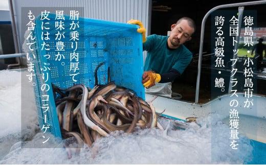 鱧 ハモ 天ぷら 6個 × 3袋 セット 冷凍 電子レンジ 調理 和食 おかず 徳島県 揚げ物 魚
