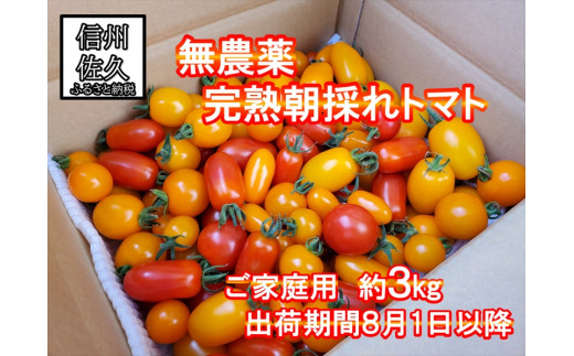 【無農薬】 朝採れ！完熟トマト 約3kg【家庭用】〈2026年8月1日～2026年10月31日出荷／北海道・九州・沖縄・離島は配送不可〉　トマト 高原野菜　産地直送　新鮮　旬彩　期間限定 【 長野県 佐久市 】