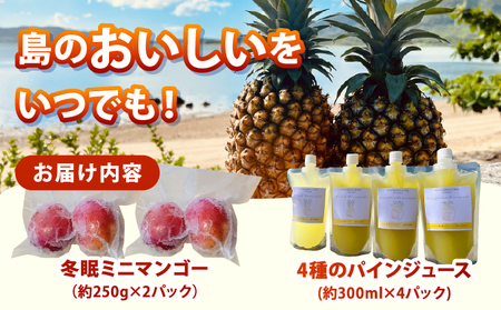 《8月以降順次発送》最高糖度20度！？冬眠ミニマンゴーと完熟パイン4種のジュース　よくばり詰め合わせ