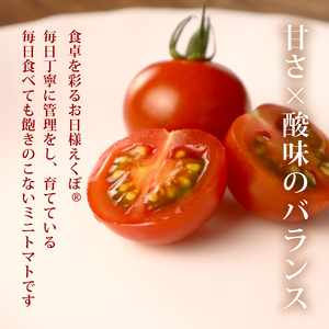 【先行予約】 訳あり ミニトマト 1.5kg  2026年5月・6月発送