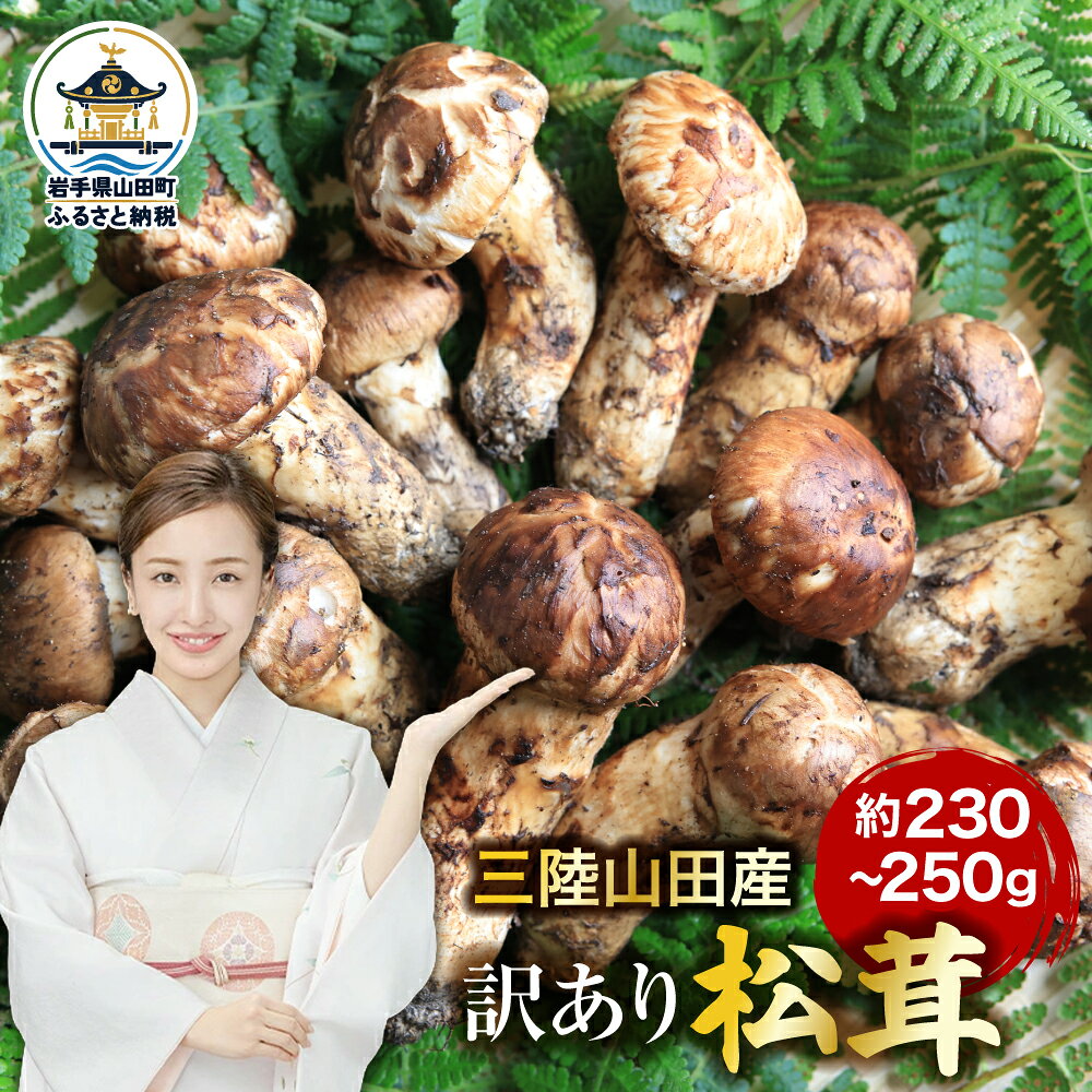【ふるさと納税】 訳あり 松茸 国産 約230g～500g 選べる容量 天然 ≪2026年先行予約 9月中旬～11月下旬発送予定！≫ ふるさと納税 松茸 国産 野菜 山田産野菜 季節限定 ベルアクト