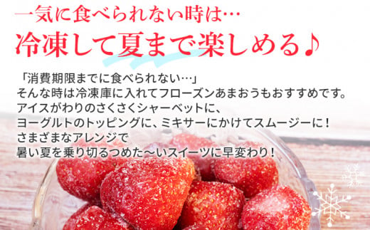 【先行予約】ジャム用あまおう2kg ※2027年2月中旬～5月10日頃にかけて順次出荷予定 BD07