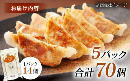 【5パック】餃子屋ヒロの ほんのりにんにく餃子【餃子屋ヒロ】開成町 餃子 点心 惣菜 冷凍[BDAS005-3]