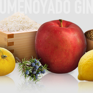 UMENOYADO GIN 750ml ／ 梅乃宿酒造 44度 ジン クラフトジン ジャパニーズジン お酒 スピリッツ 国産 ギフト お祝い プレゼント 奈良県 葛城市