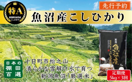 
                  【令和8年産新米予約】【3か月定期便】10月発送開始《食味鑑定士厳選》日本棚田百選・十日町（魚沼）産こしひかり 5kg全3回
                