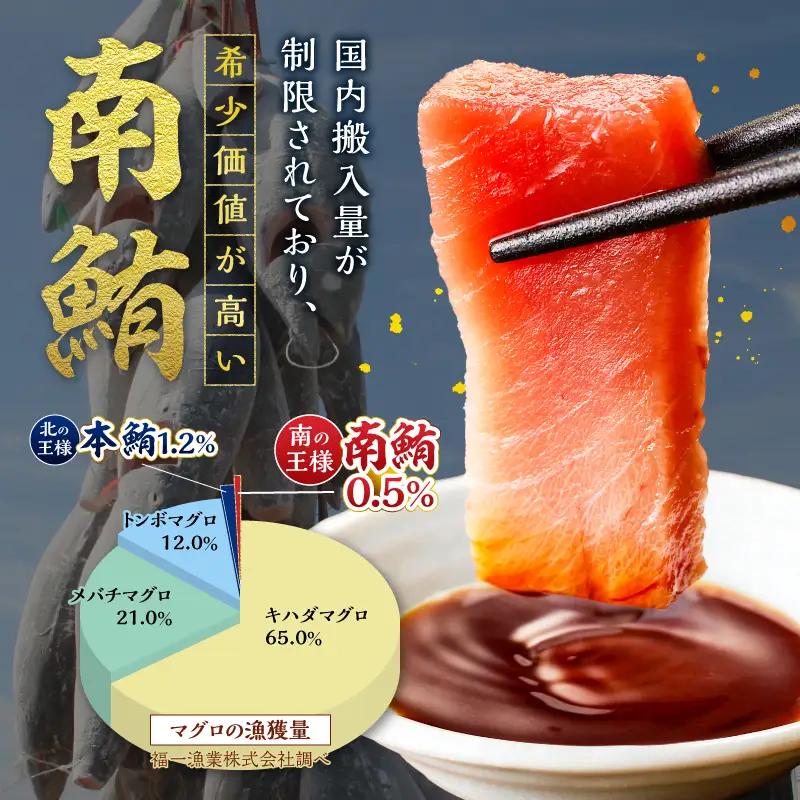 訳あり ミナミマグロ まぐろ マグロ 鮪 刺身 中トロ 天然 切り落とし 約2.1kg (a43-009)