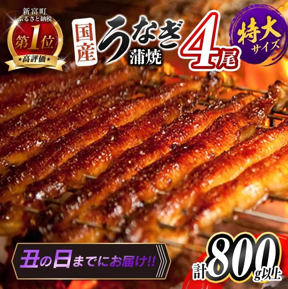 ＜丑の日＞鰻蒲焼 4尾 計800g以上※7/15～7/26までにお届け【C388-800-USHI】