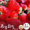 【ふるさと納税】いちご あまおう 250g×4パック セット 果物 フルーツ ストロべリー ふくおかエコ農産物認証制度 永田農園 福岡県 久留米市 お取り寄せ お取り寄せフルーツ 食品 食べ物 おやつ スイーツ スムージー ジャム お菓子作り 送料無料