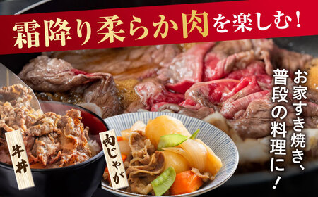 【全6回定期便】【不揃い訳あり・部位おまかせ】佐賀牛 切り落とし 肩orバラ 計3.6kg （600g×6回） 吉野ヶ里町  佐賀牛 切り落とし 牛肉 肉 肩 バラ ブランド牛 国産 [FDB028]
