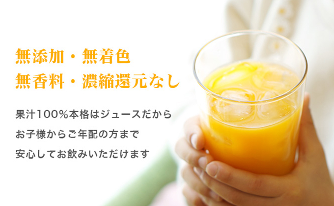 三ヶ日みかんジュース「浜名湖まるごと純粋搾り」720ml 2本【静岡 三ヶ日 みかん ジュース】