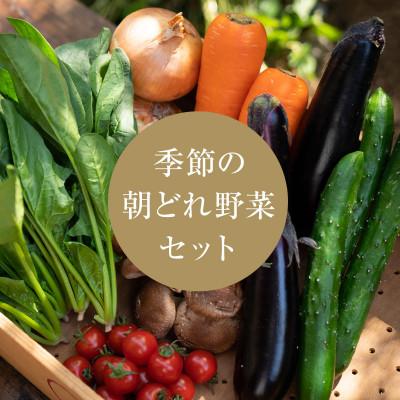 ふるさと納税 津和野町 【産地直送】島根県津和野産・採れたて旬の野菜詰め合わせセット[6〜8種セット]