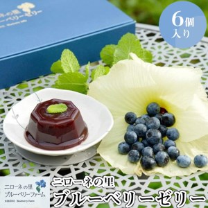 フルーツ 果物 ゼリー （完熟 ブルーベリー）ヒルナンデスで紹介【化学肥料農薬不使用・有機農法】「ブルーベリー 原種に近い苗」 高級ゼリー フルーツゼリー スイーツ 菓子 神奈川 相模原 ニローネの里 ※着日指定送不可