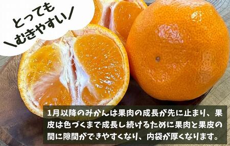 訳あり それでも 熟成みかん 箱込2.5kg ( 内容量 2.3kg ) サイズミックス Ｂ品 有田みかん 和歌山県産 産地直送 家庭用 【みかんの会】