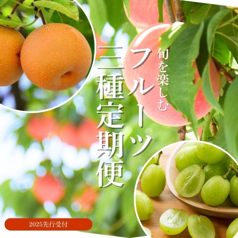 No.2528 【2025年発送分】フルーツ３種定期便　（桃約３kg、梨約３kg、ｼｬｲﾝﾏｽｶｯﾄ2～3房）