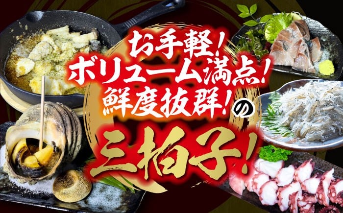 海鮮 魚介類 冷凍 水産加工品 海藻 鮮魚 さかな 刺身 詰め合わせ セット 小分け 海鮮丼 加工品 惣菜 刺身 真空パック