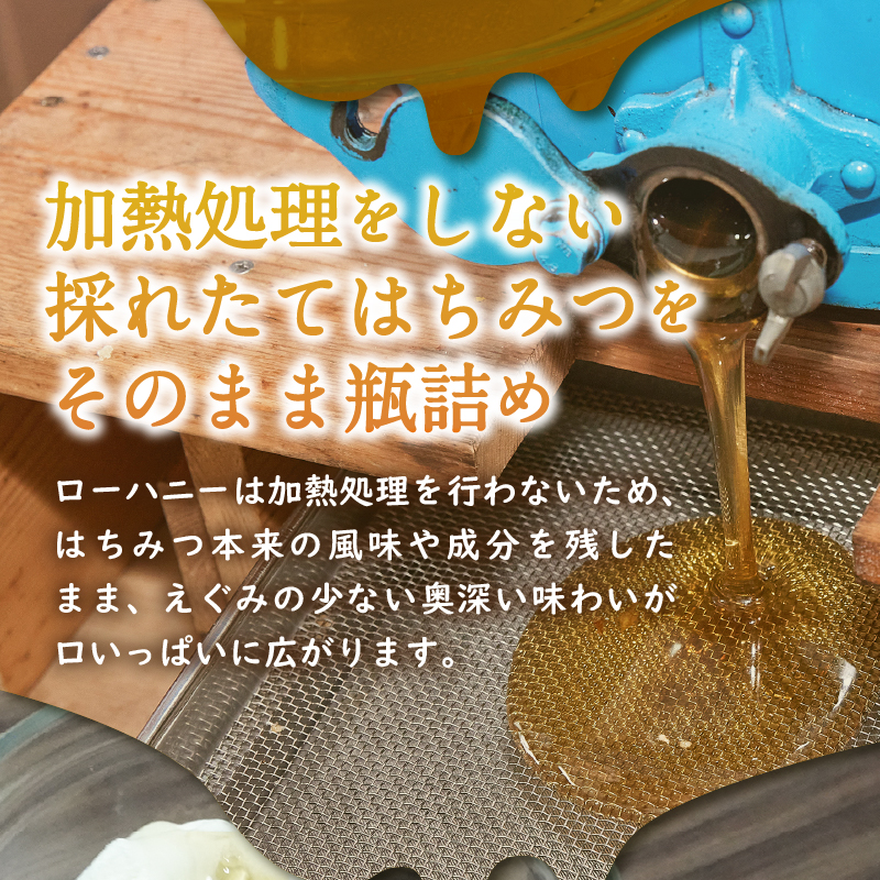 下田産ローハニー(生はちみつ)600g　定期便　6ヶ月　3回