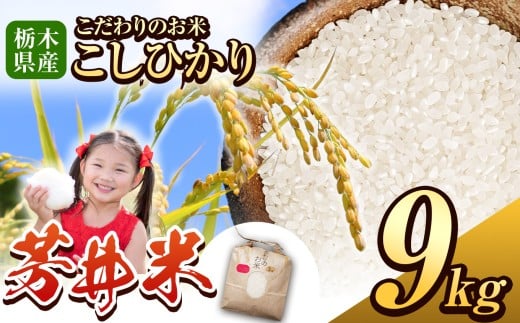 【先行予約】那珂川町産芳井米 3kg×3 | コシヒカリ お米 精米 美味しい 白米 とちぎ 玄米 共通返礼品 送料無料 那珂川町 栃木県