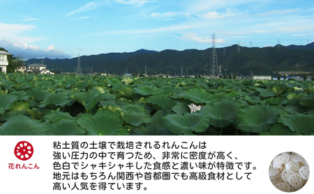 鳴門れんこん冷凍惣菜セットB