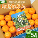 【ふるさと納税】【選べる】一度食べたらくせになる！ 高知県産 山北みかん 約3kg/約5kg（露地栽培 2S～Lサイズ）- 送料無料 果物 フルーツ 温州みかん ミカン 蜜柑 柑橘 甘い おいしい のし 贈り物 お取り寄せ 産地直送 特産品 期間限定 高知県 香南市【常温】Rku-0037