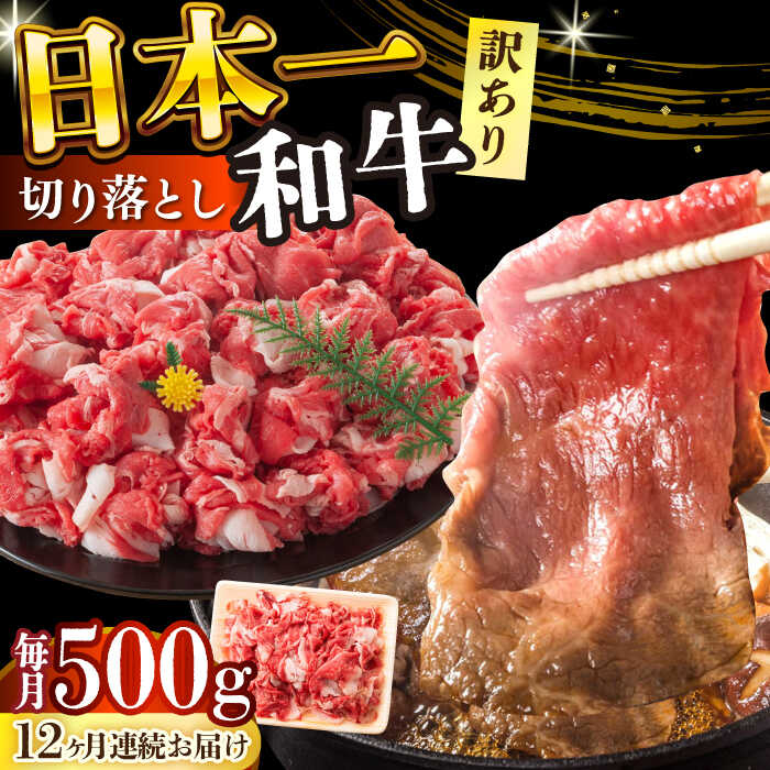 【ふるさと納税】【全12回定期便】【訳あり】【A4〜A5】長崎和牛焼肉切り落とし(肩ロース・バラ）　500g【株式会社 MEAT PLUS】[DBS044]