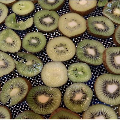 ふるさと納税 南知多町 【無添加・砂糖不使用】リフレッシュに! 旨みたっぷり ドライキウイ 300g[無添加・砂糖不使用 |  | 01