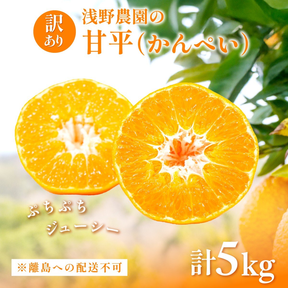 
            【先行予約】【数量限定】【訳あり】浅野農園の甘平（かんぺい）5kg ※離島への配送不可（2026年2月中旬頃より順次発送予定） 【 ふるさと納税 人気 おすすめ ランキング 柑橘 みかん ミカン フルーツ 果物 愛媛 有名 代表 高級 愛媛県産 愛媛みかん 浅野農園 愛媛県 伊方町 送料無料 】IKTAC028
          