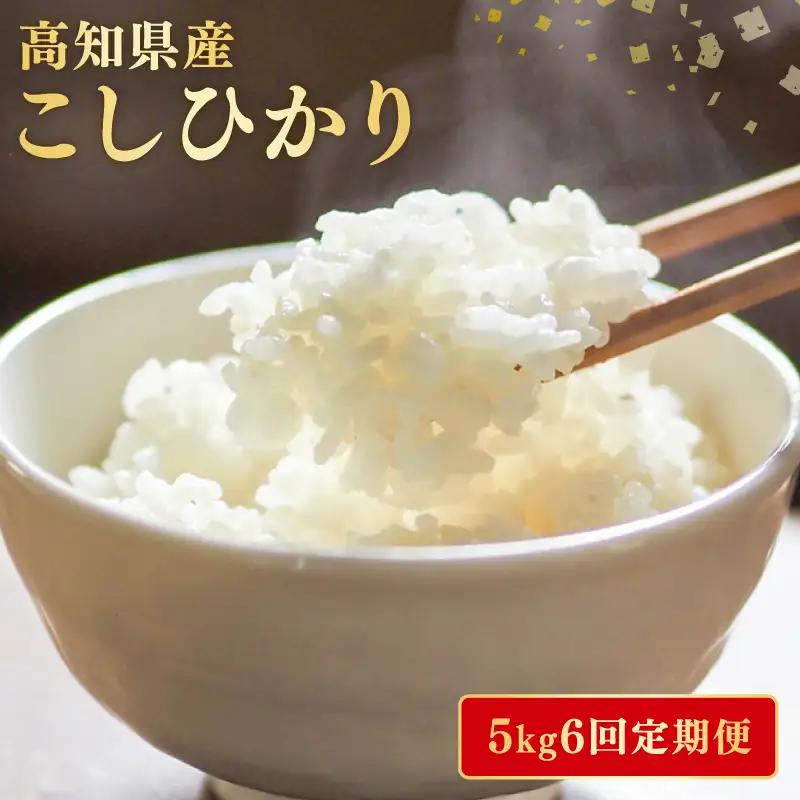 【令和8年産】 米 定期便 5kg×6回 コシヒカリ 米 AG014