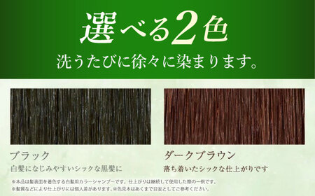 【5本入】［白髪用］利尻炭酸カラーシャンプー 糸島市 / 株式会社ピュール ヘアケア シャンプー[AZA046]