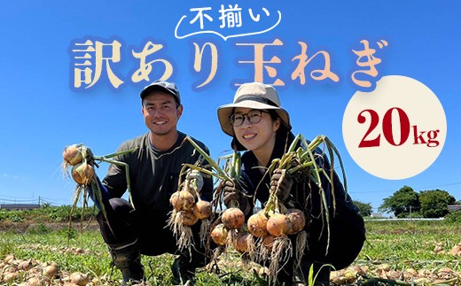 《先行予約》 2026年発送 ＜訳アリ＞ うまみたっぷり！ 不揃い 玉ねぎ 20kg たまねぎ タマネギ 玉葱 野菜 訳あり ワケアリ F6Q-152